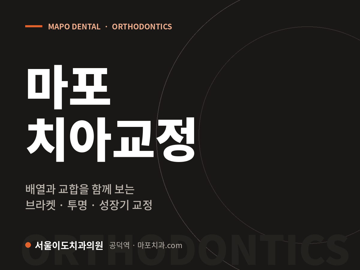 마포 치아교정 — 서울이도치과